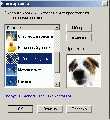 MSN Messenger 6.0 для Windows 98