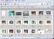 Adobe Photoshop Album Starter Edition 3.0