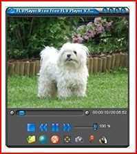 FlvPlayer4Free 3.5.0.0
