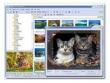 FastStone Image Viewer 4.6